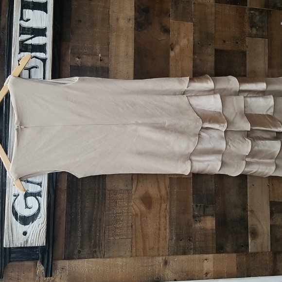 Tadashi Evening Gown, Champagne color, size 6 - Picture 6 of 6